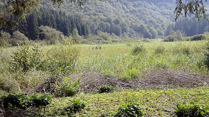 Botaniker der Universität Innsbruck bei der Arbeit an einem Bohrkern in der Lomasona, unterhalb von San Martino. Kampagne 2012.